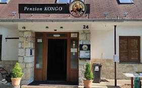 Penzion Kongo